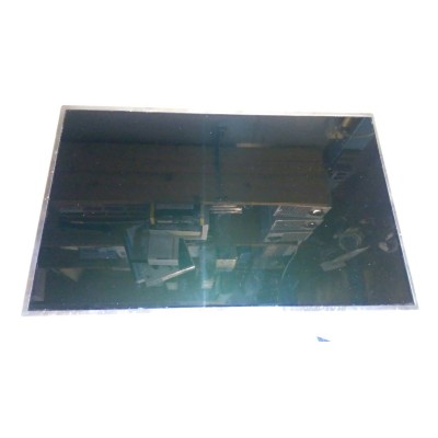 vgn-ns21m(PCG7154M)  display lcd